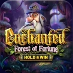 Enchanted: Forest of Fortune